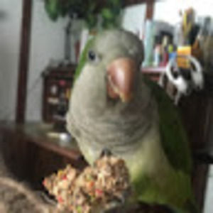 Meet your Posher, Keegan